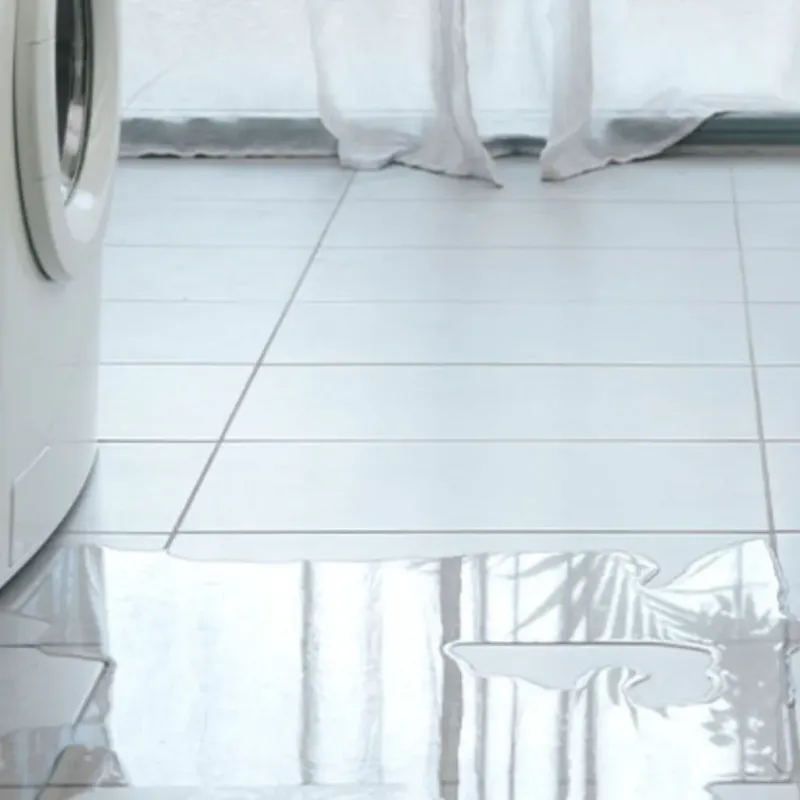 Appliance Leak Cleanup in Juneau County, WI