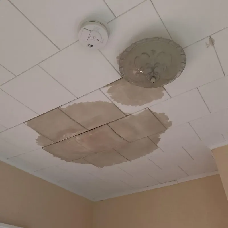 Ceiling Water Damage Repair in Juneau County, WI
