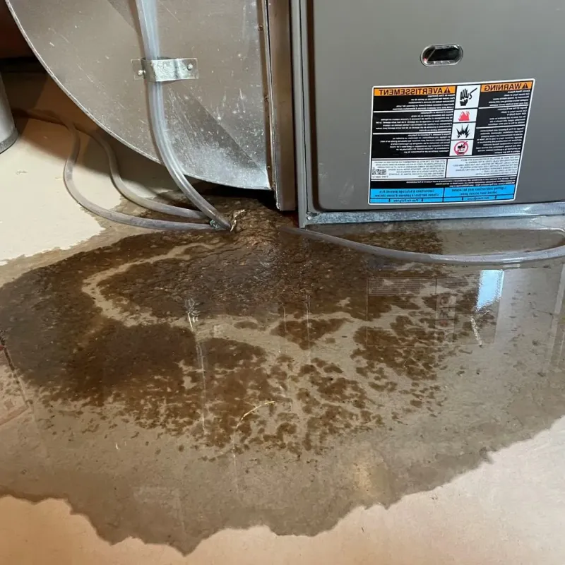 Pipe Burst and Leak Restoration in Juneau County, WI