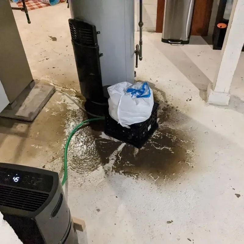 Sewage Backup Cleanup Service in Juneau County, WI